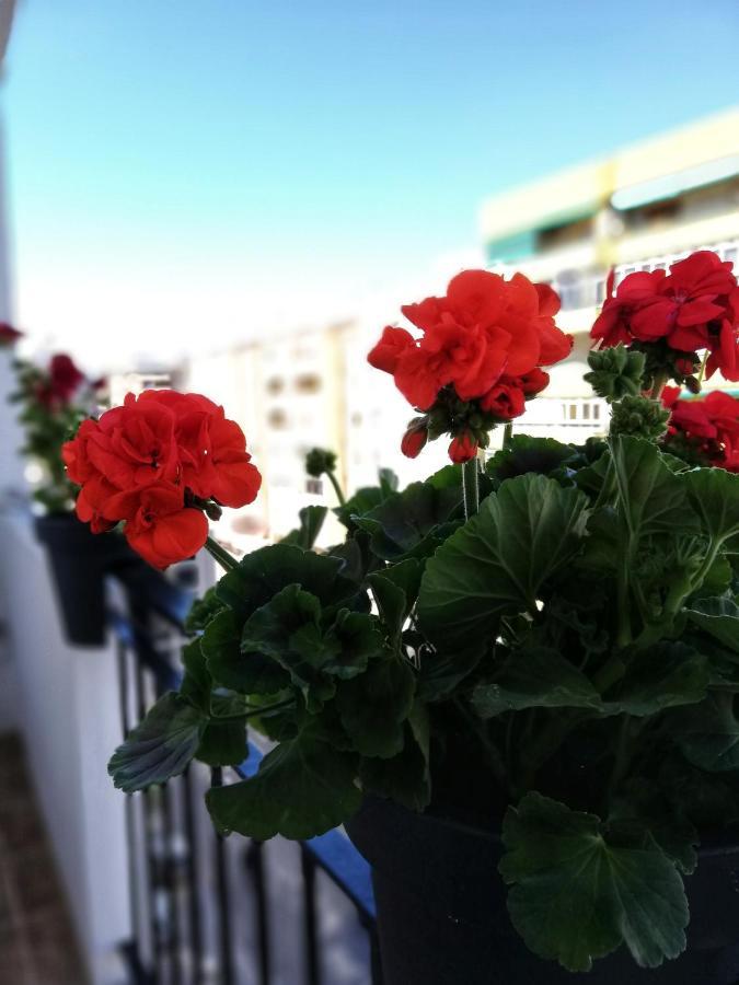 Casa Princesa Huelin 말라가 외부 사진